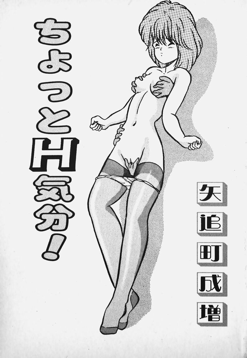 [Yaoichou Narimasu] Chotto H-Kibun! page 4 preview