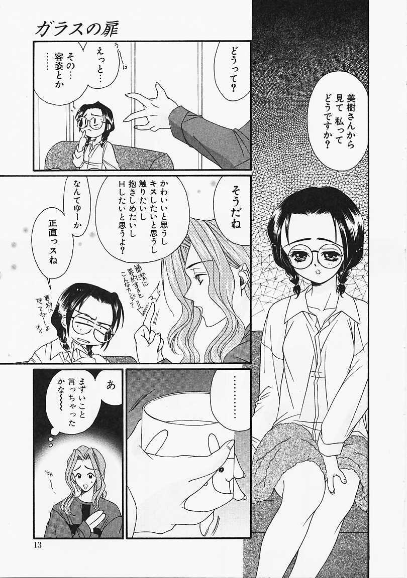 [Naruse Hirofumi] Glass no Tobira - A Door of Glass page 11 preview