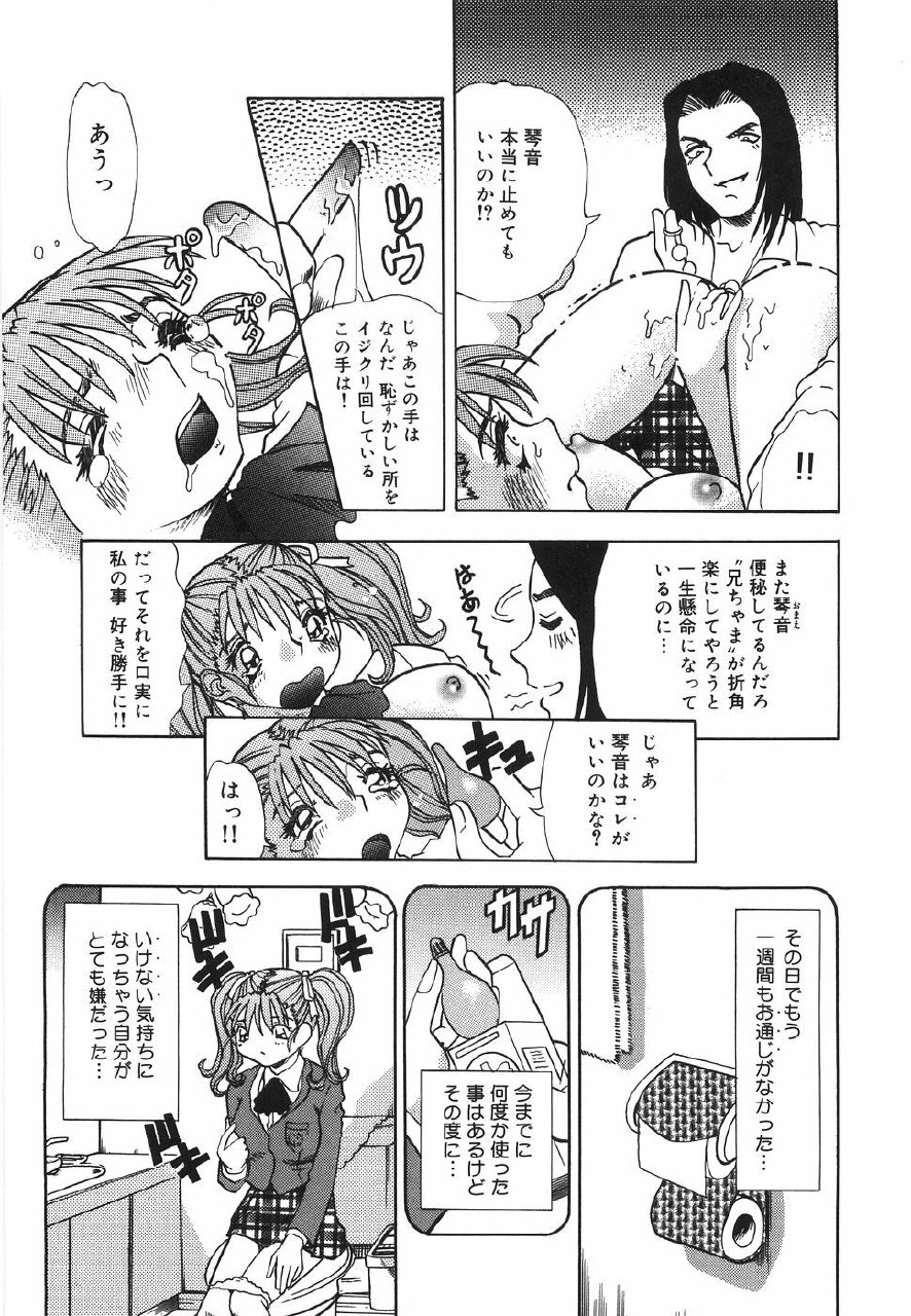 [Tomiaki Yuu] Aigan Dorei page 12 preview