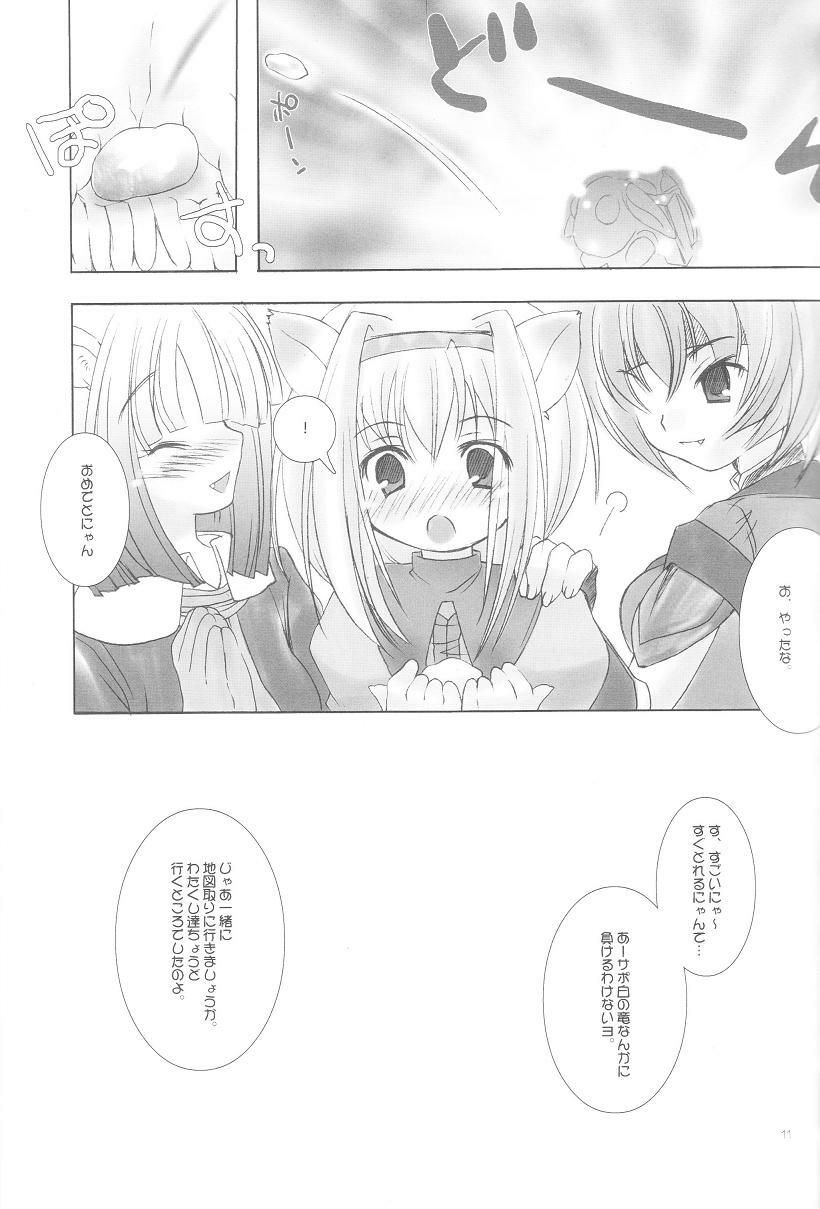 (C67) [AZA+ (Yoshimune)] Mithra ko Mithra 3 (Final Fantasy XI) page 10 preview