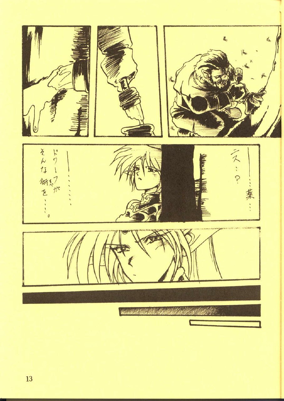 [Waku Waku Doubutsuen, Neko Apron (Various)] DIEDLIT 2 (Record of Lodoss War) page 12 preview