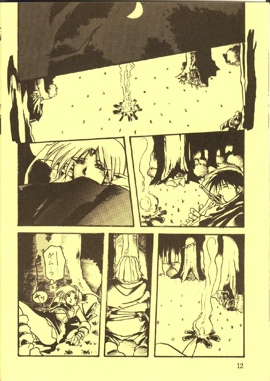 [Waku Waku Doubutsuen, Neko Apron (Various)] DIEDLIT 2 (Record of Lodoss War) page 11 preview