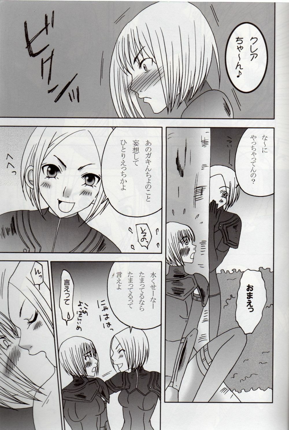 (C74) [Otome no Eden (MIYU)] Koyoi no Utage (Claymore) page 6 preview