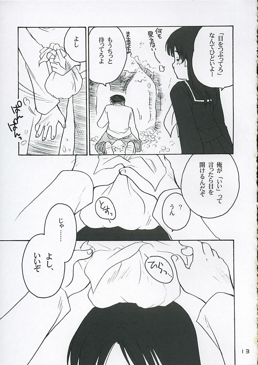 (C68) [Purin Yokochou (Ouka Sushi)] Koi ni Fuku Kaze 3 ~Futari~ (Koi Kaze) page 12 preview