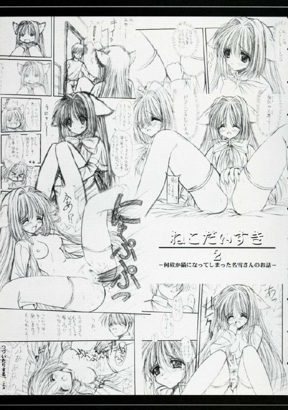 [Asyuraya (Kushida Ashura)] Nekonekohotto 2 EX (Kanon,Utawarerumono) page 2 preview