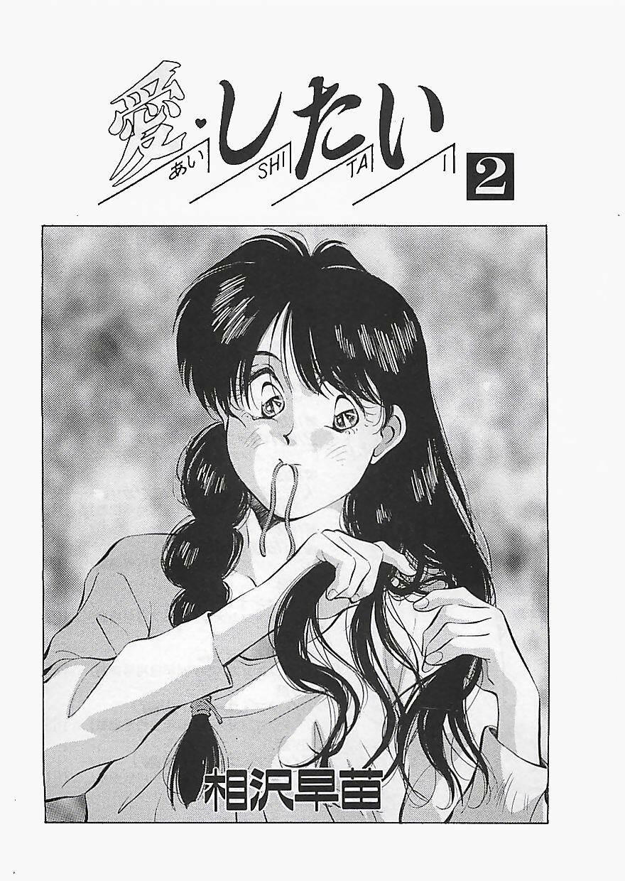 [Aizawa Sanae] Aishitai 2 page 4 preview