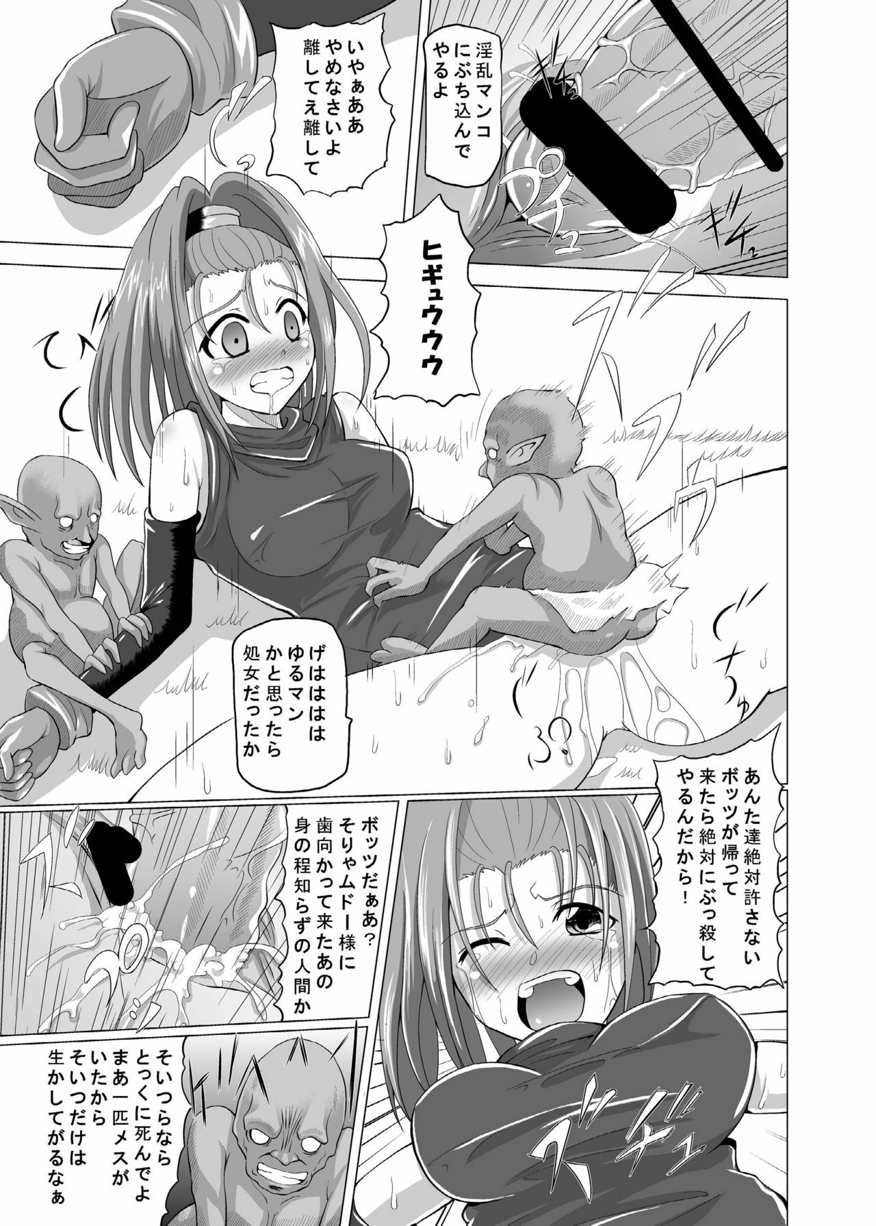 [Kurodama-ya] VI no Hon ~ Omake Tuki ~ (Dragon Quest VI) page 9 preview