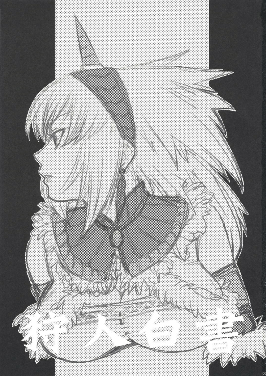 (C73) [Princess Heart (Amagai Yukino)] Kariudo Hakusho (Monster Hunter) [Chinese] page 2 preview