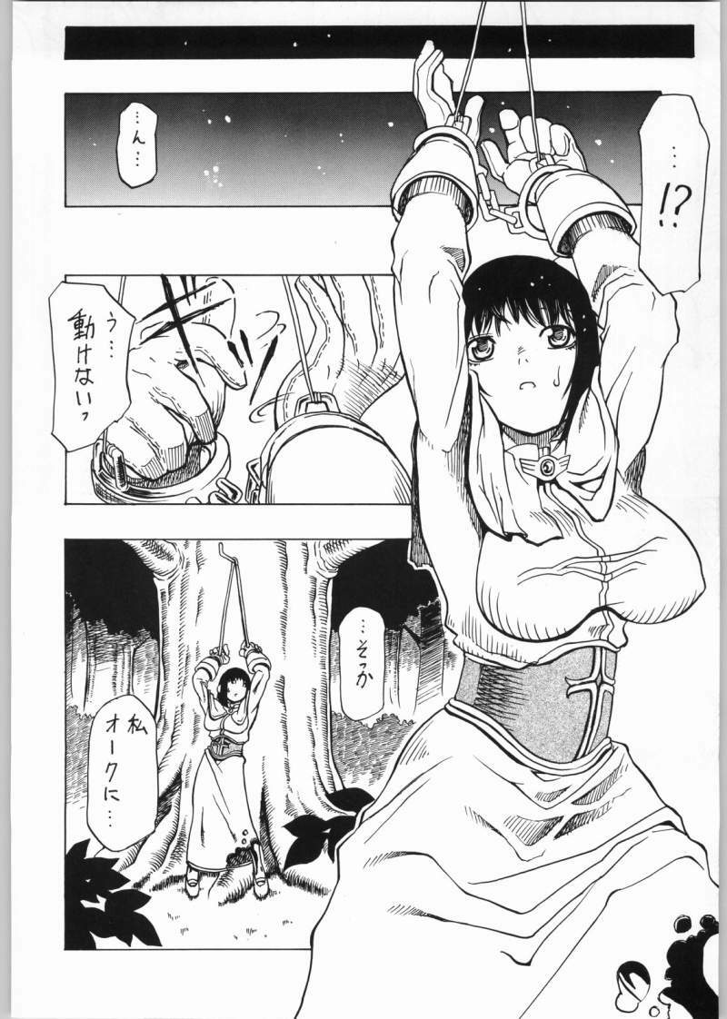(C62) [Cho kyu shijo (HoshiTaroo)] GRAVITY VENT (Ragnarok Online) page 9 preview