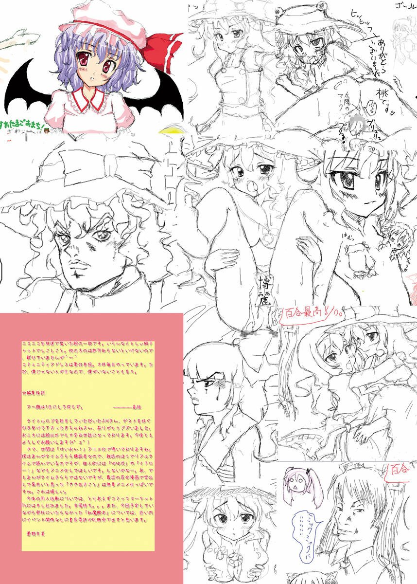 [Pantsu Kakumei. (Aono Yami)] COLOR DA-ZE 2 (Touhou Project) [Digital] page 12 preview
