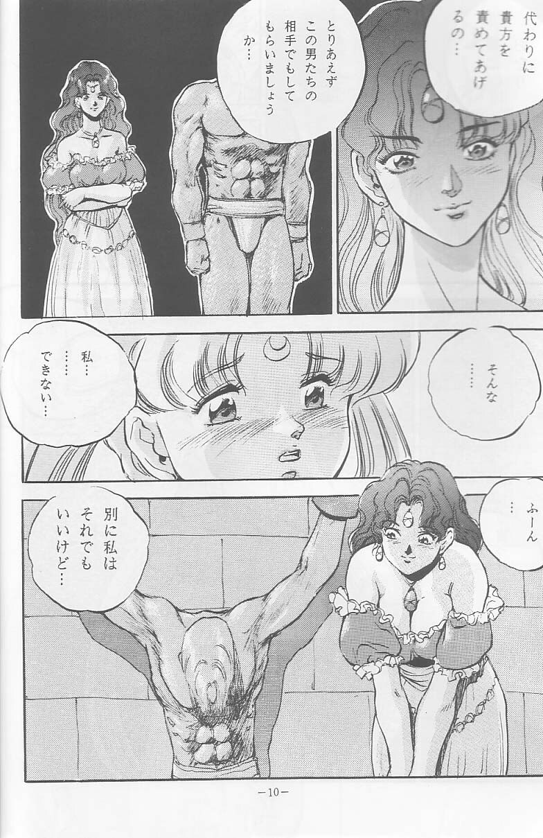 (C44) [METAL (Sengoku-kun)] Sengoku (Record of Lodoss War, Sailor Moon) page 9 preview