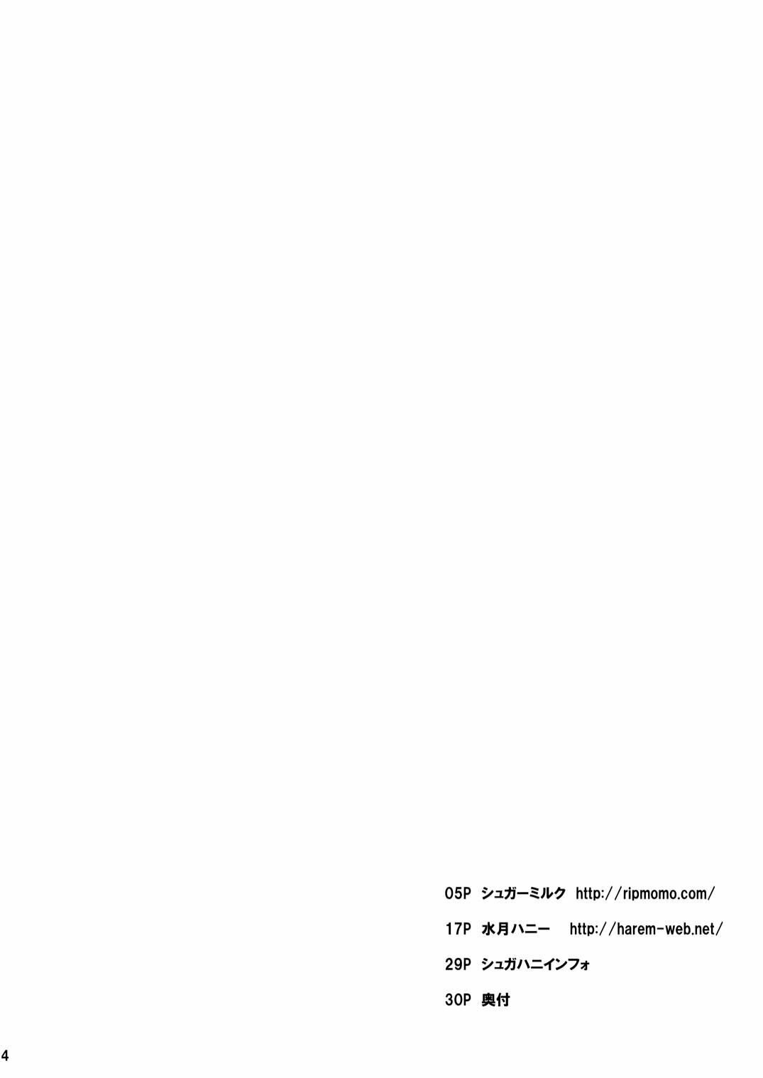 [Suger Honey (Sugar Milk, Miduki Honey)] Kenja to Senshi ga Sanran Sarechau Hon (Dragon Quest III) [Digital] page 4 preview