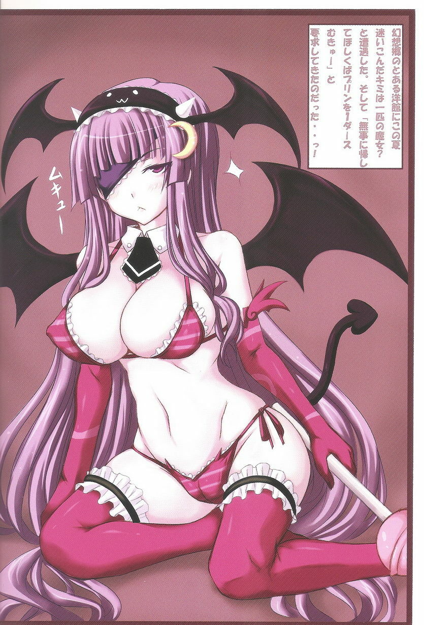 (C76) [Ruciedo (jema)] MARIA&amp;JOKER (Touhou Project) page 2 preview