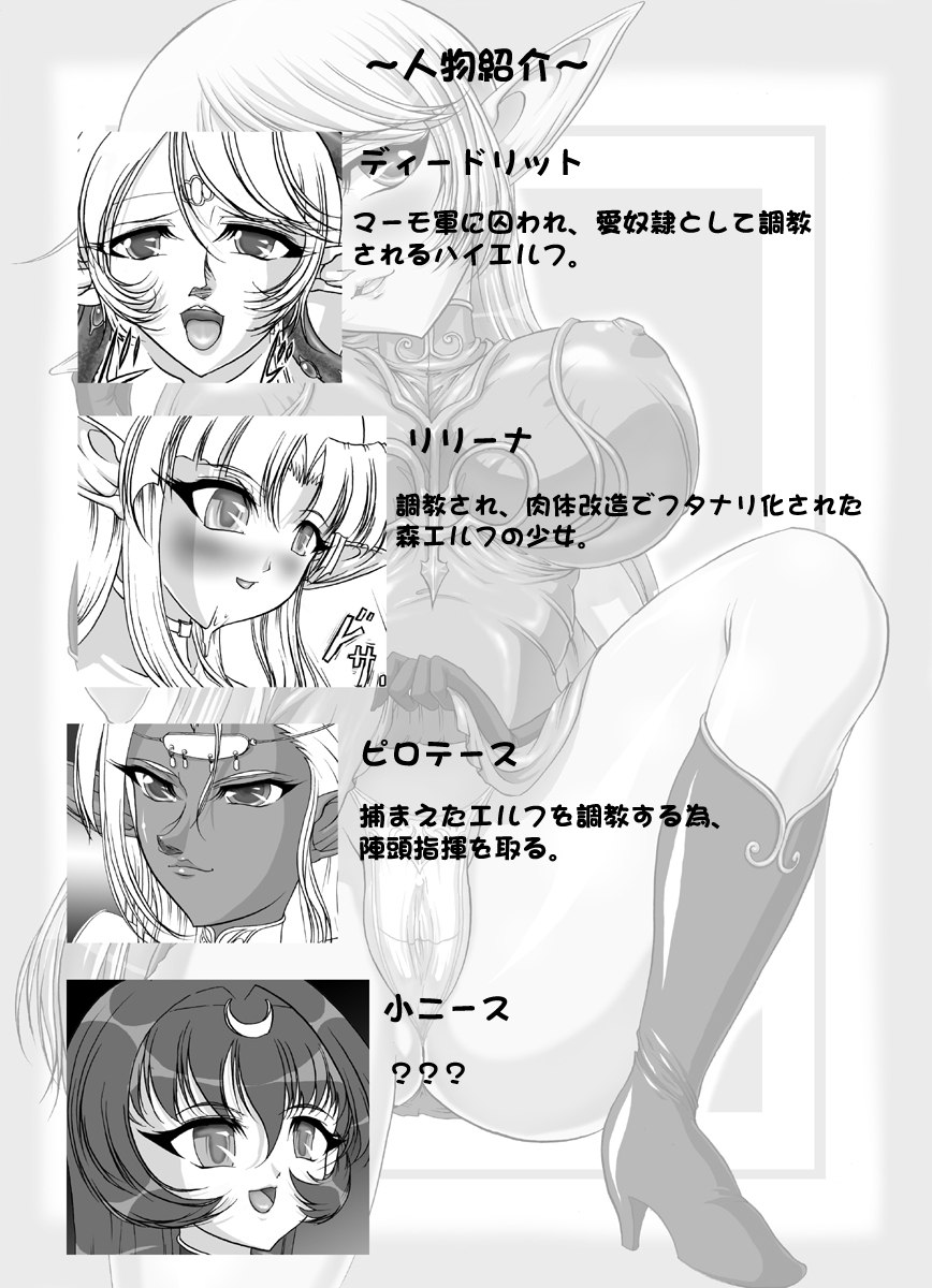 [SLW (Q1)] Aidorei Elf Senki (Record of Lodoss War) [Digital] page 4 preview