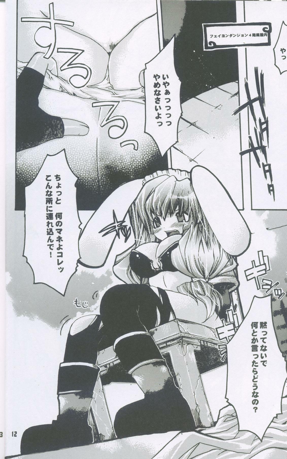 (C64) [Seinansei ni Kagayakeru Hoshi (Morino Papiko)] Ragnarok Yawa Level.2 (Ragnarok Online) page 11 preview