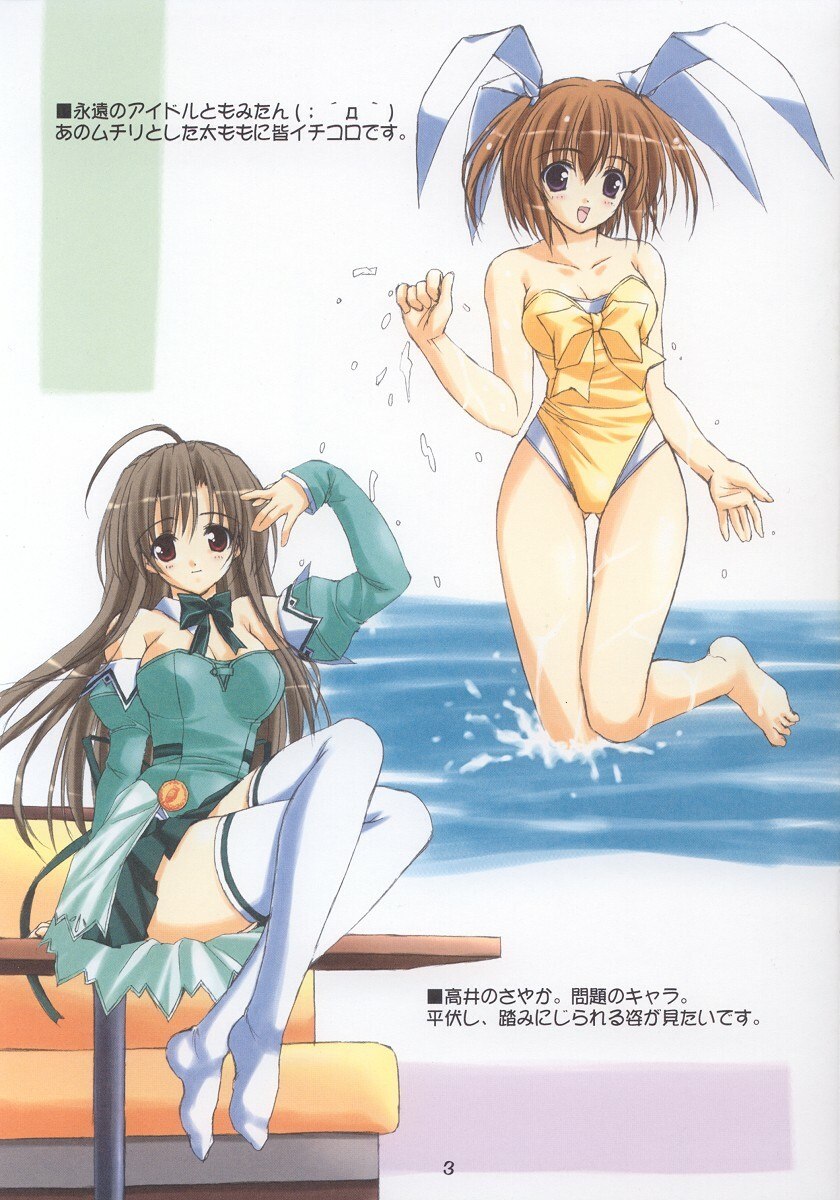 [Lili Marleen (Kinohara Hikaru)] In the cell (Ragnarok Online) page 3 preview