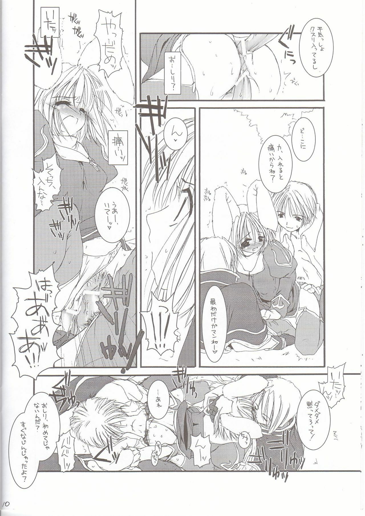 (SC18) [Digital Lover (Nakajima Yuka)] Rough Sketch 11 (Ragnarok Online) page 9 preview