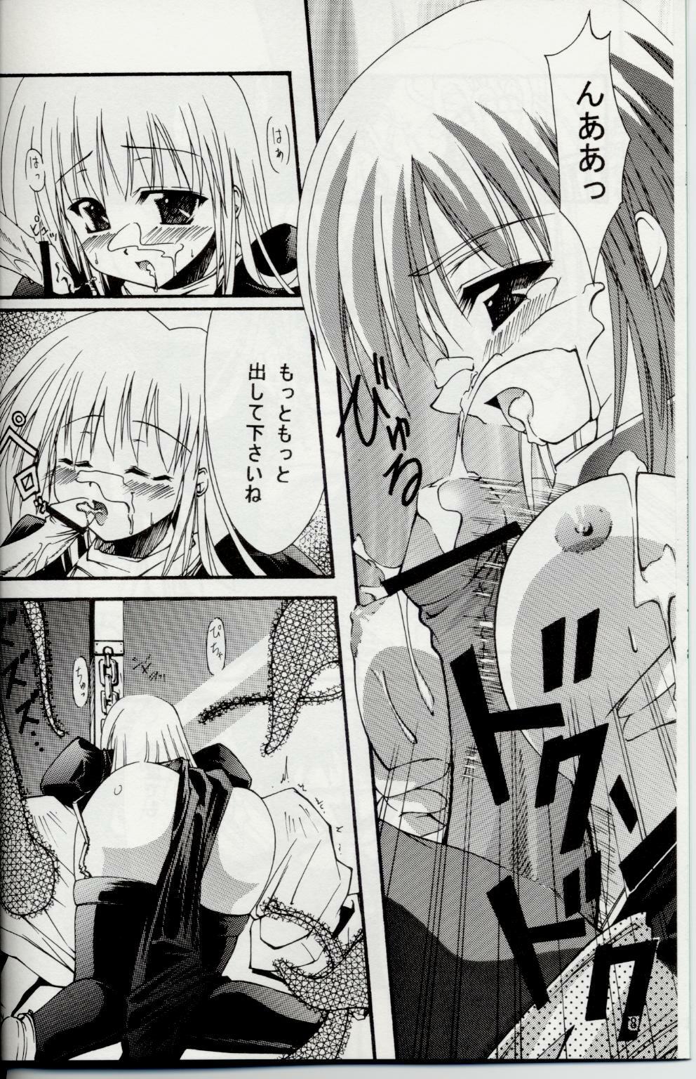 (C63) [Nanairo no Magatama (Nanaki Seiju)] Ragnarok Fantasy (Ragnarok Online) page 7 preview