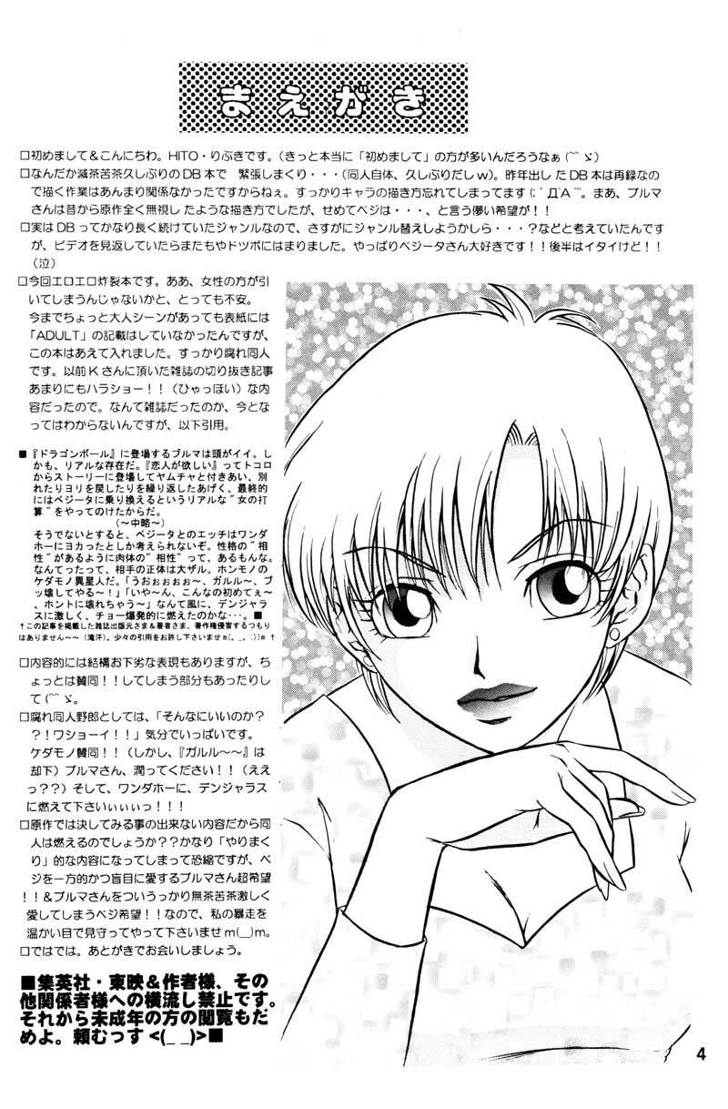 (C63) [Ryujin-kai (HITO Ribuki)] GIFT (Dragon Ball Z) page 3 preview