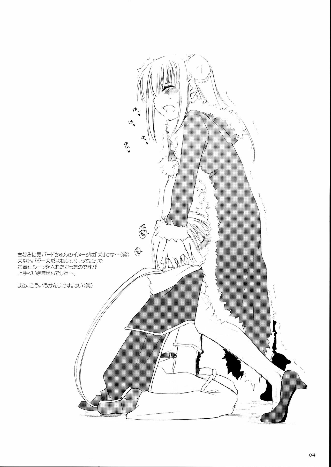 [Digital Lover (Nakajima Yuka)] Rough Sketch 22 (Ragnarok Online) page 4 preview