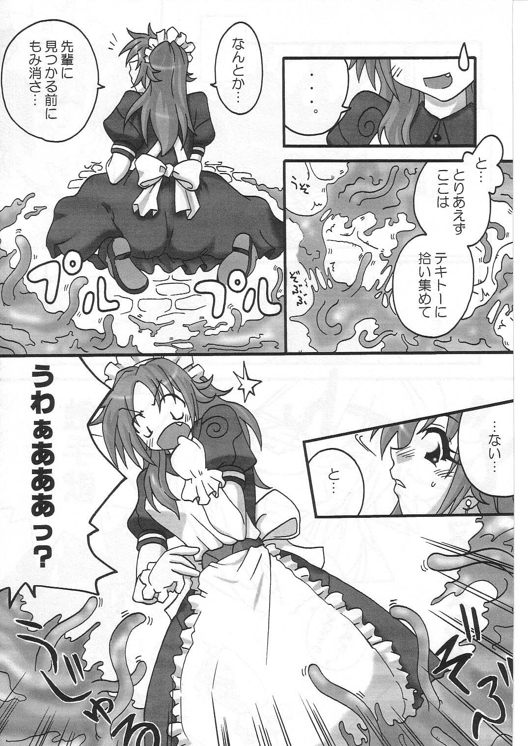 (C63) [FruitsJam (Mikagami Sou)] Kapura-san ga Koronda (Ragnarok Online) page 9 preview