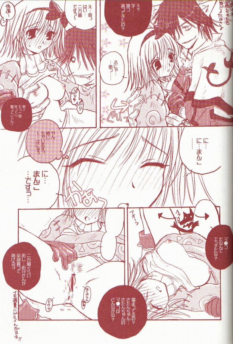 (C62) [AREYOUHAPPY?, APOCRIPHA (Asai Ichiko, Hiyama Akira)] ninukuna- (Ragnarok Online) page 7 preview