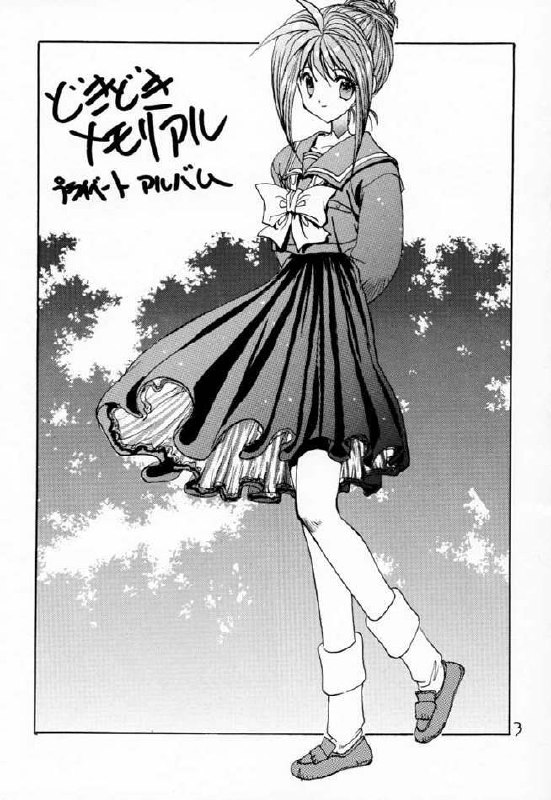[ZINZIN (Hagure Metal)] DokiDoki Memorial Private Album (Tokimeki Memorial) page 2 preview