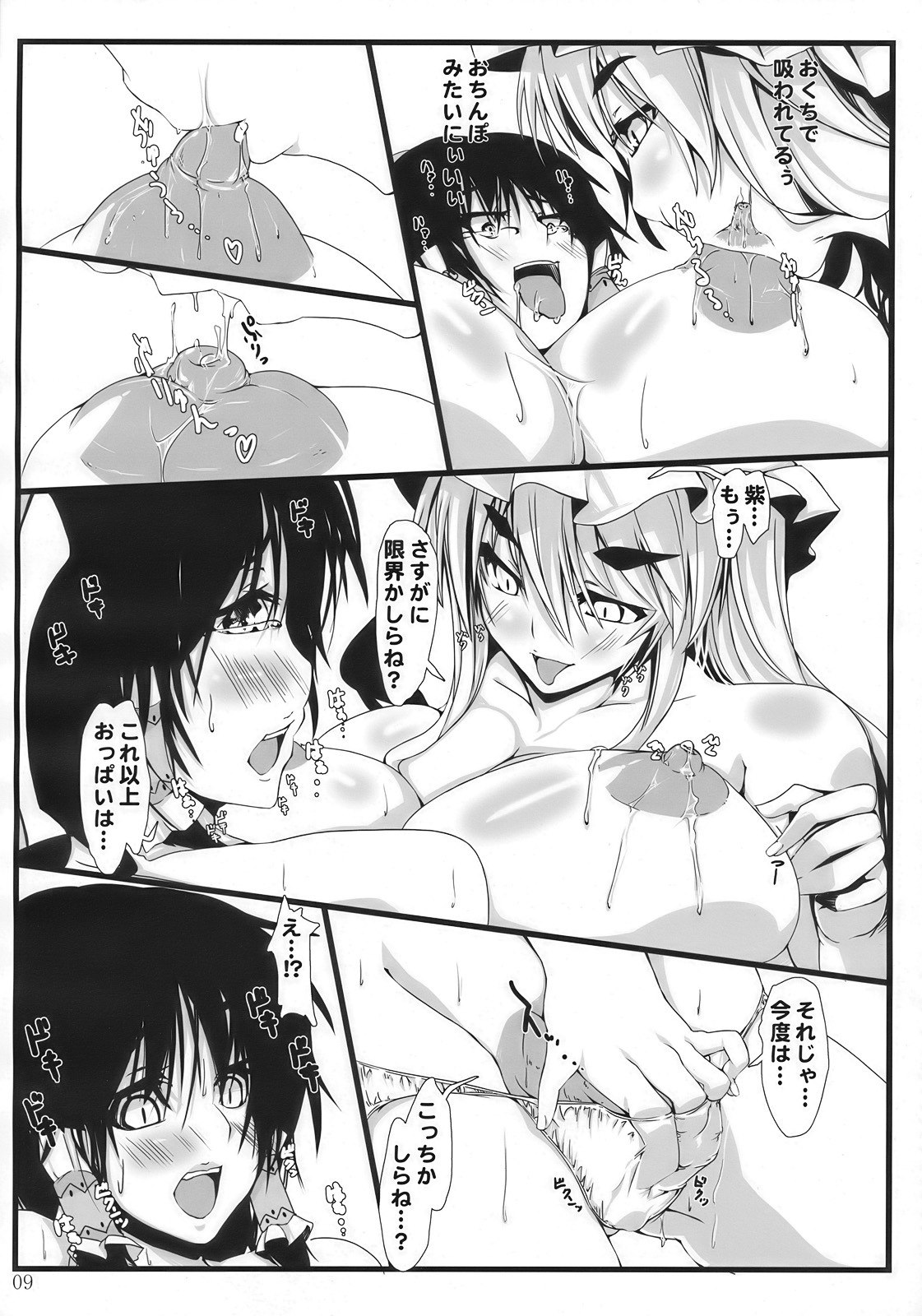 (C77) [Kara no Tsuki (Toono Yayoi)] Touhou Mousou Kyou 14 (Touhou Project) page 9 preview