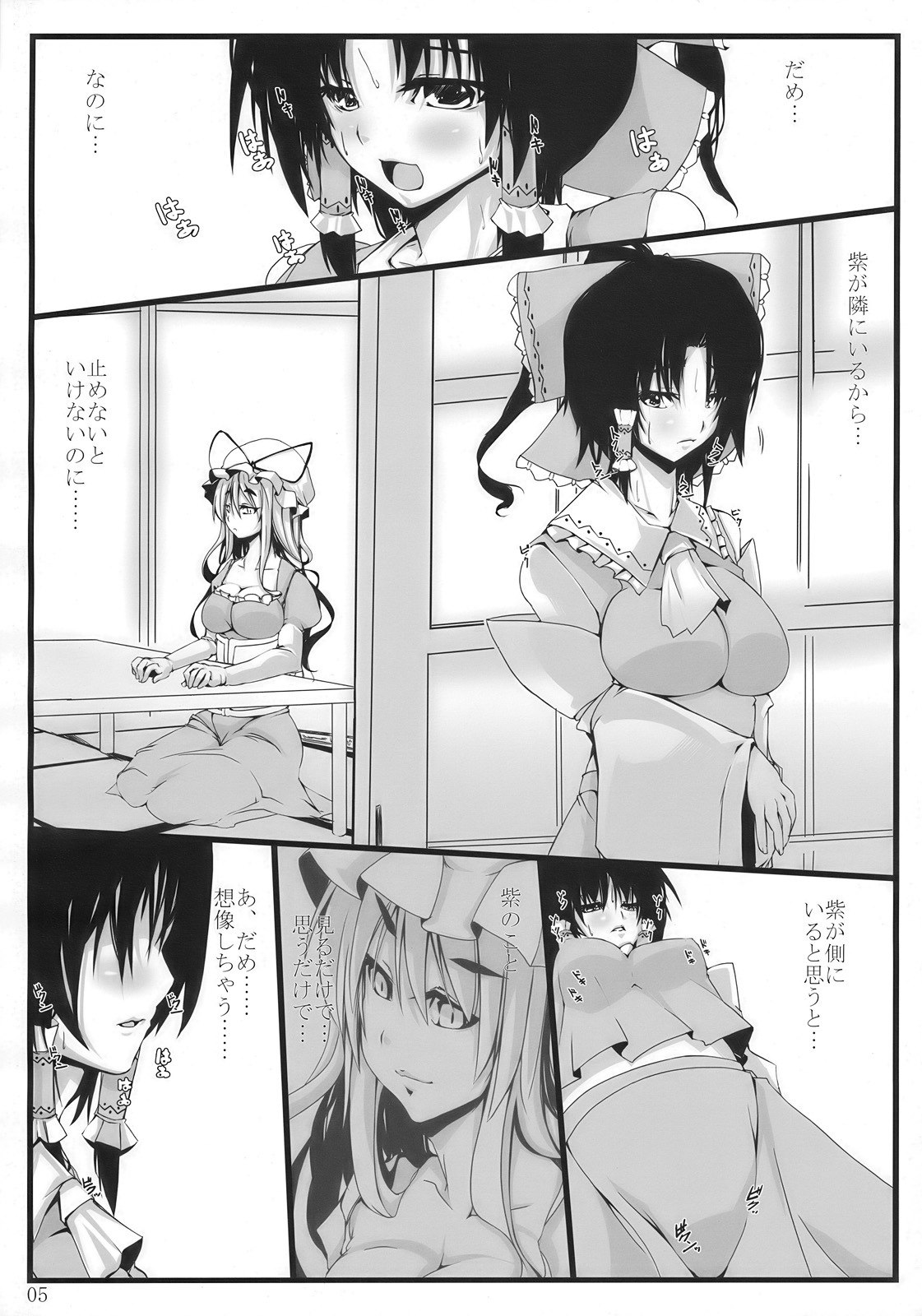 (C77) [Kara no Tsuki (Toono Yayoi)] Touhou Mousou Kyou 14 (Touhou Project) page 5 preview