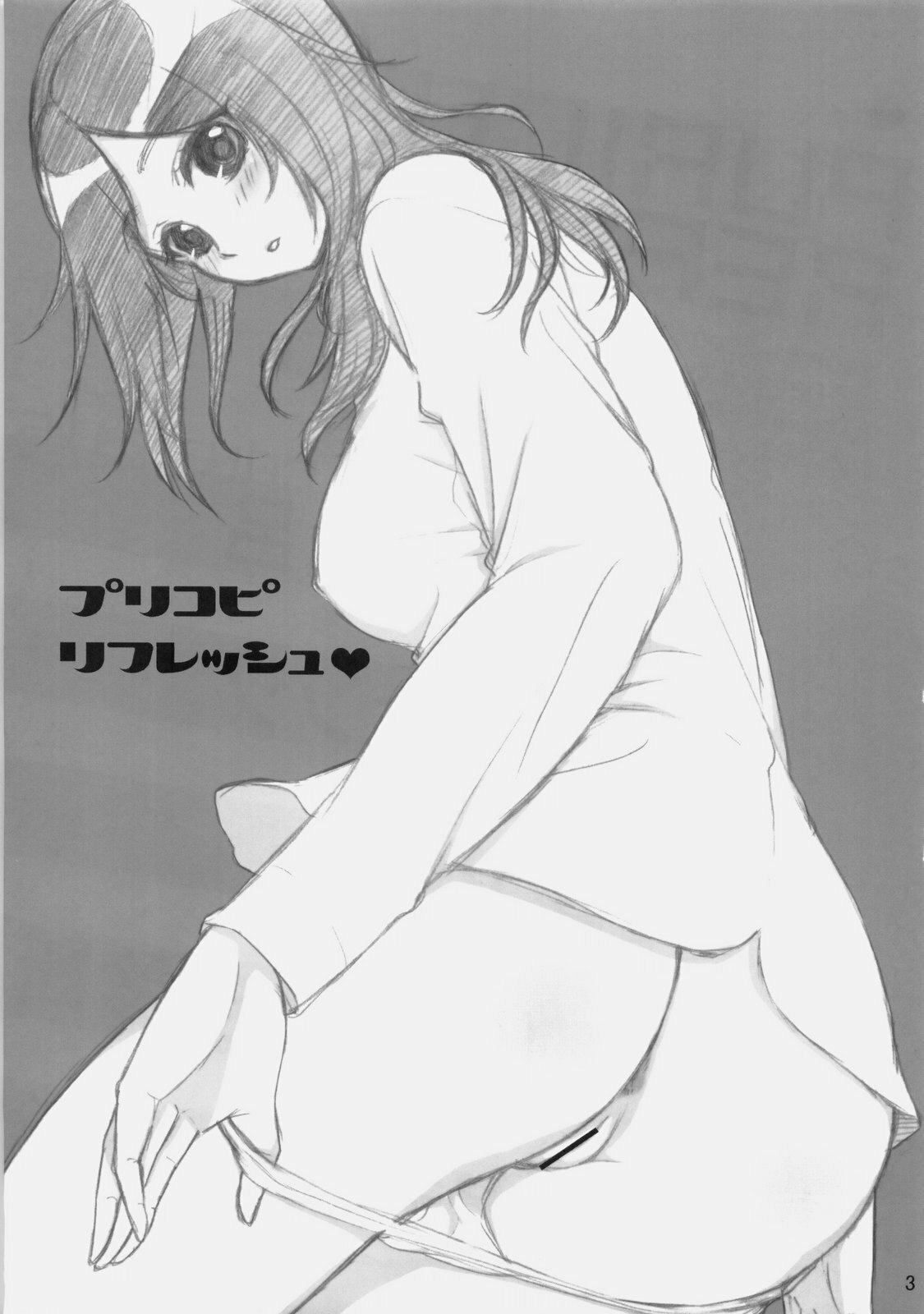 (C77) [Yamada Ichizoku. (Fukurokouji, Mokyu)] Puricopy Refresh (Fresh PreCure!) page 2 preview