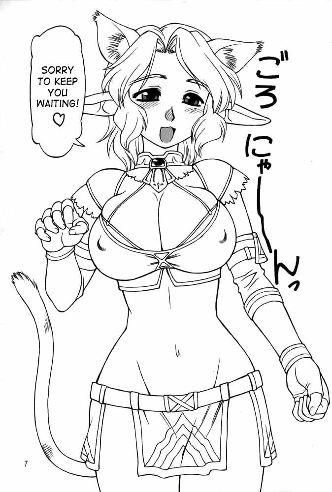(C68) [Jack-O'-lantern (Ebifly, Neriwasabi)] Neko Panchu (Final Fantasy XI) [English] [SaHa] [Incomplete] page 4 preview