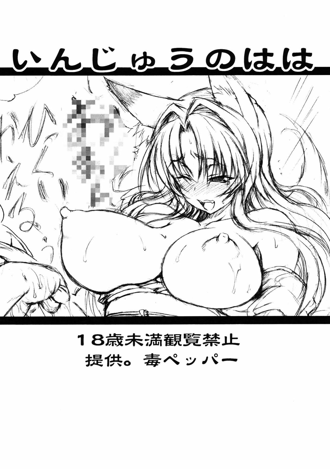 (C75) [Doku pepper (Shiina Kazuki)] Injuu no Haha (Kanokon) page 10 preview